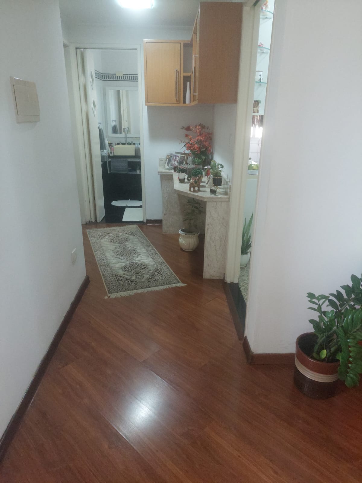 Apartamento  2 dormitórios 1 vaga Vila Mafra