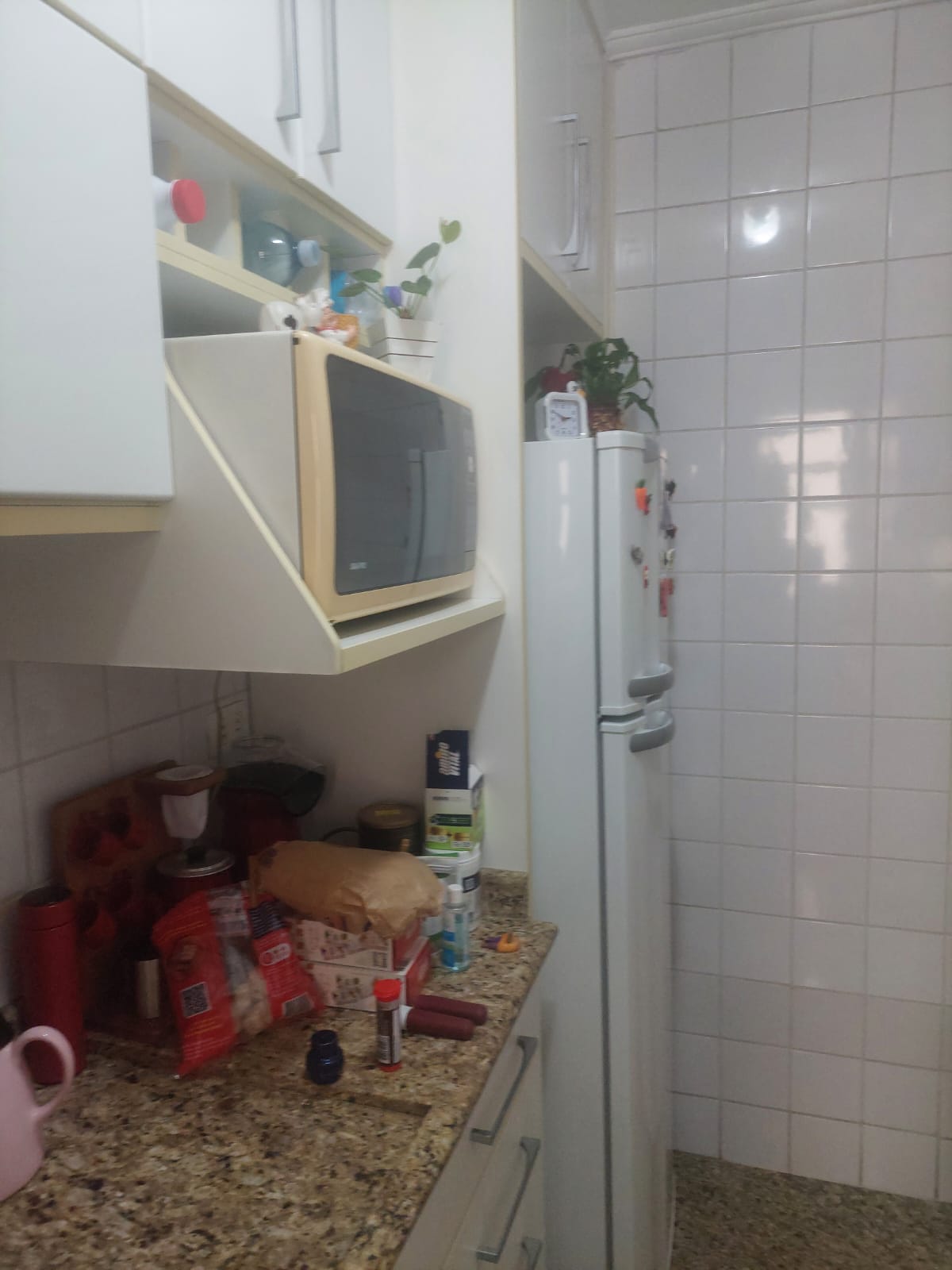 Apartamento  2 dormitórios 1 vaga Vila Mafra