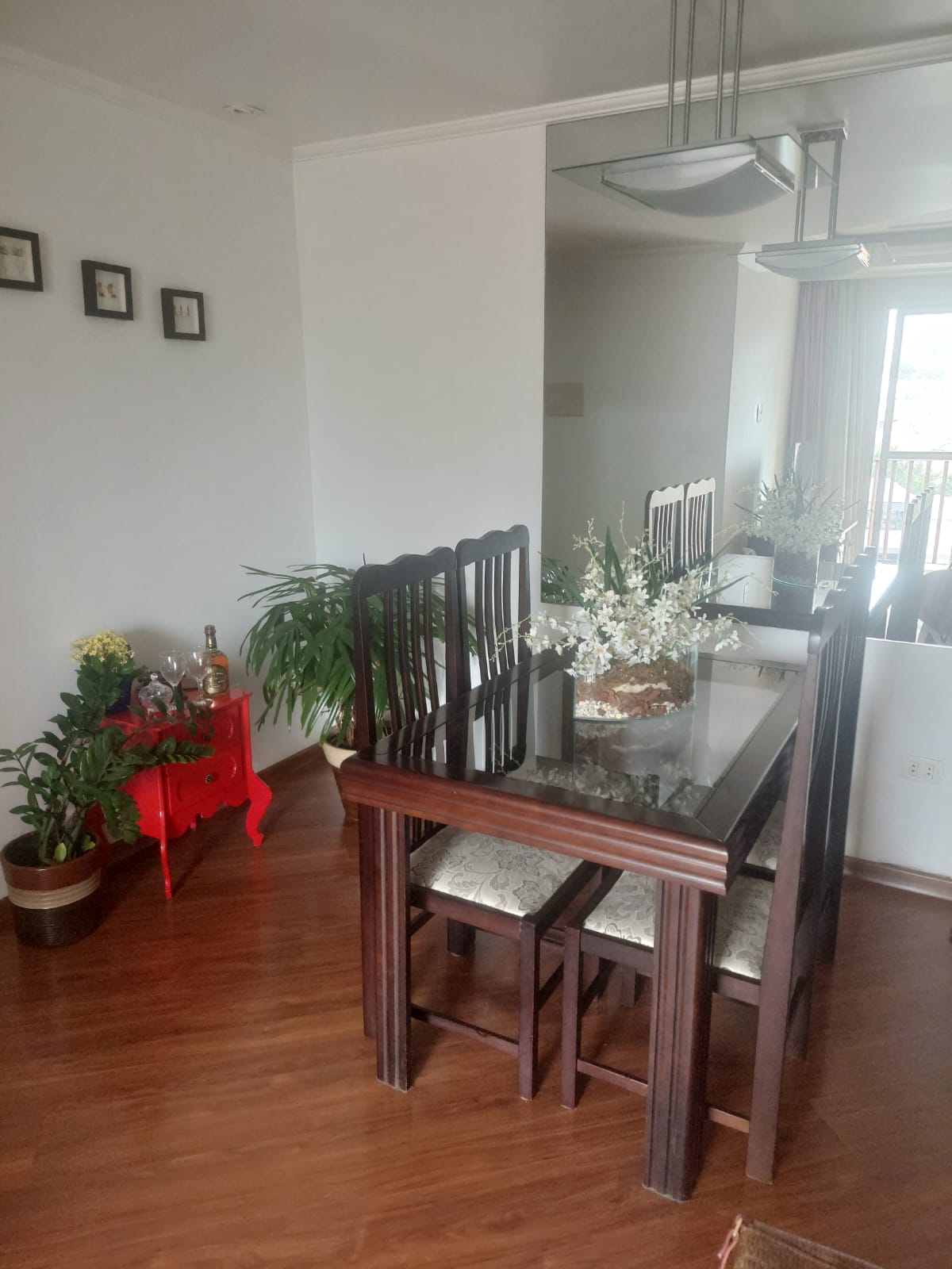 Apartamento  2 dormitórios 1 vaga Vila Mafra