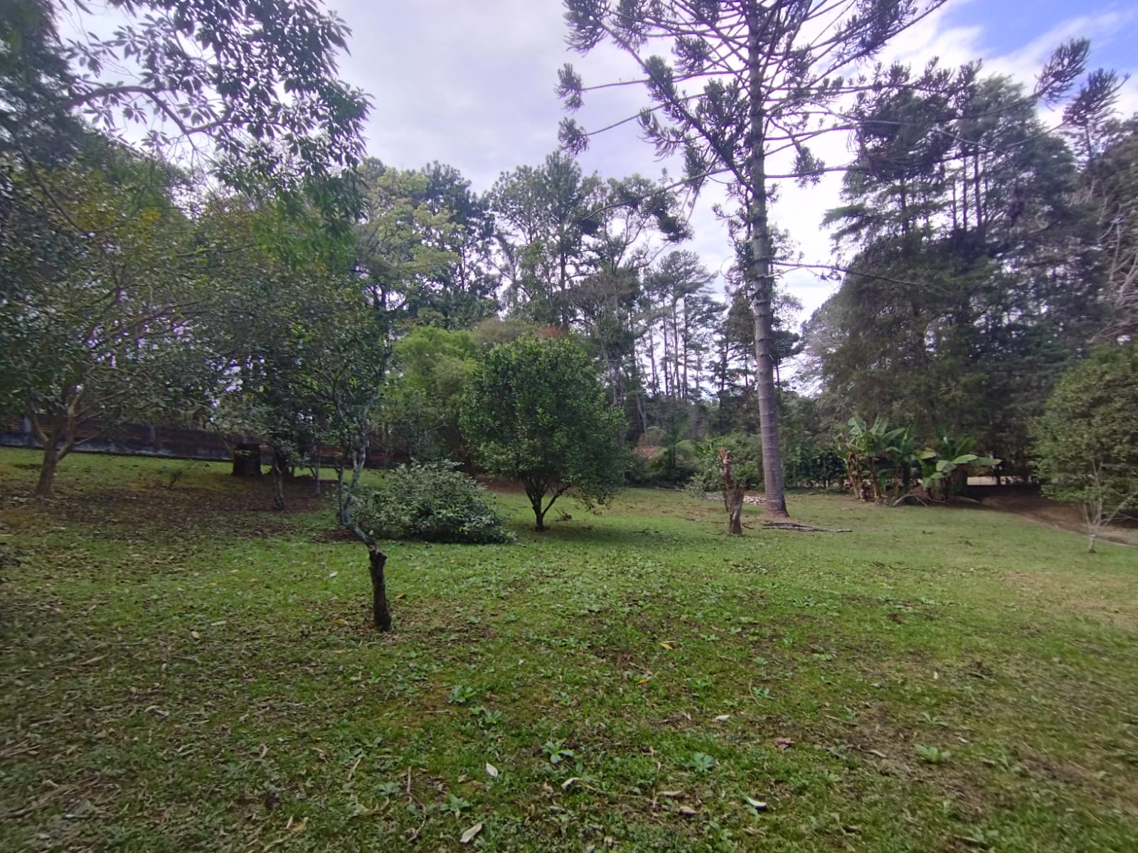 Terreno à venda em São Roque 