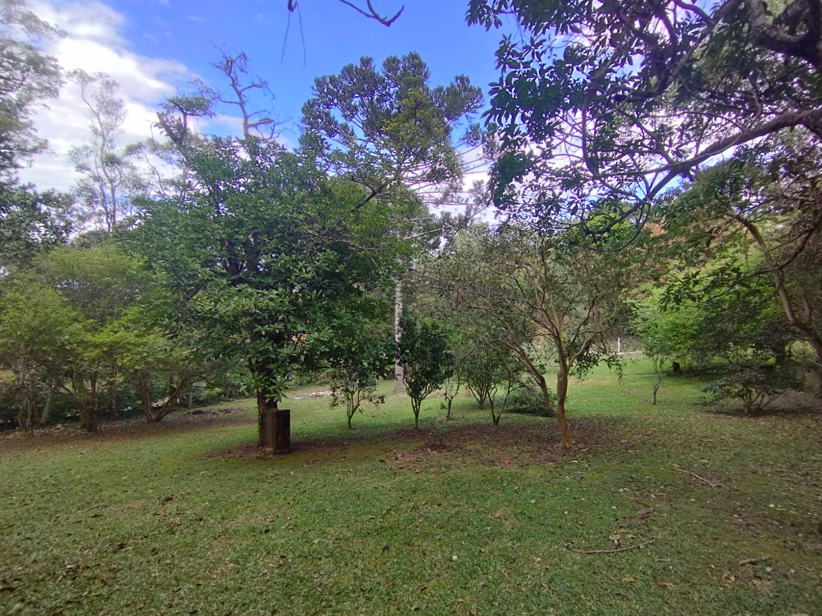 Terreno à venda em São Roque 