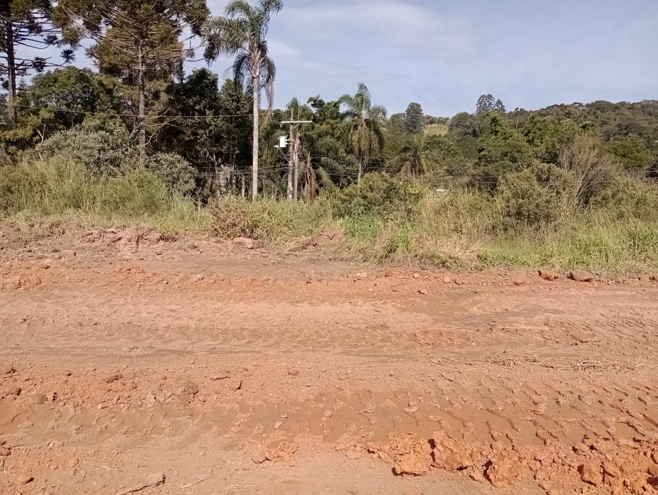 Terreno - Venda, Cotia, SP