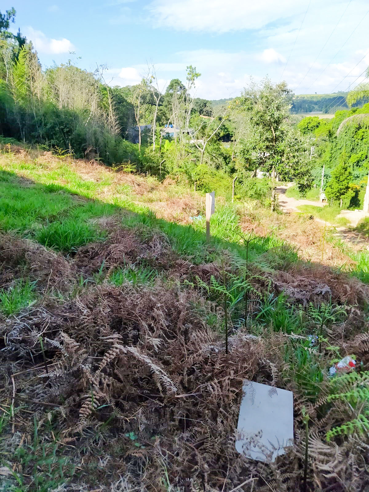 *Terreno à venda de 1.118,00M² *