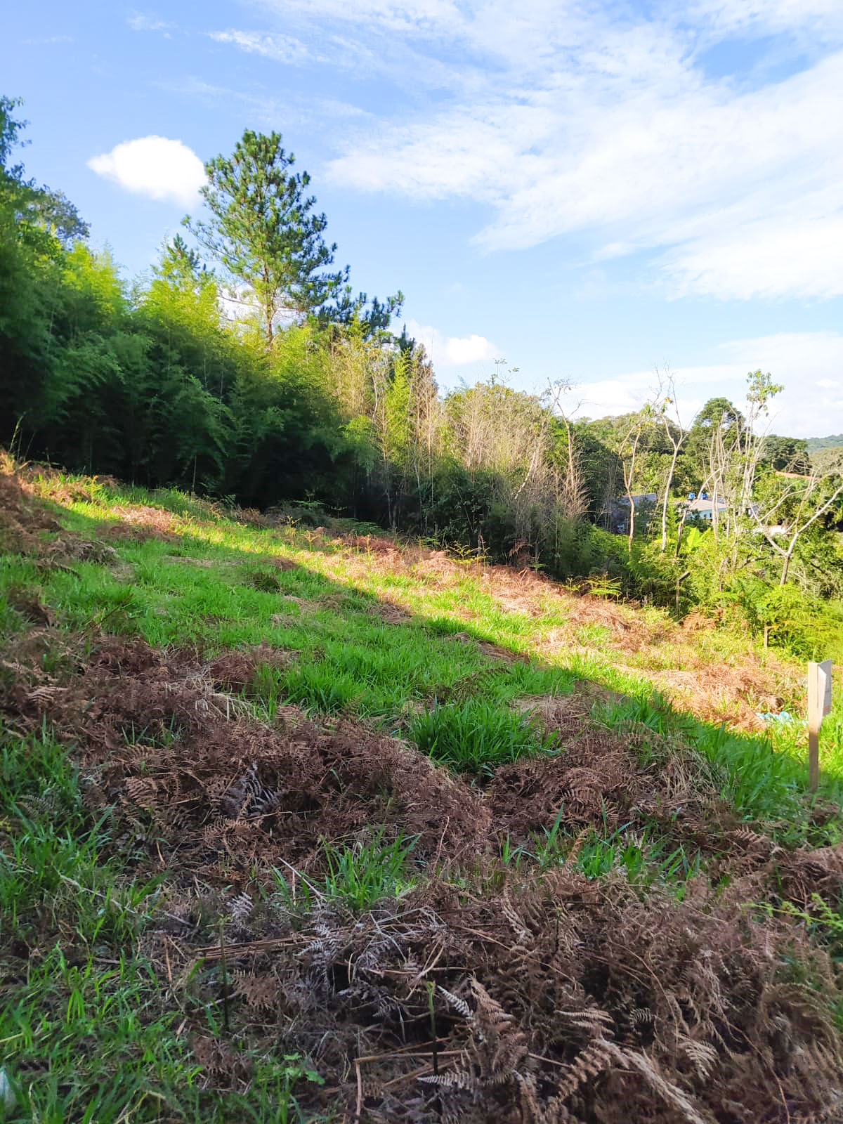 *Terreno à venda de 1.118,00M² *