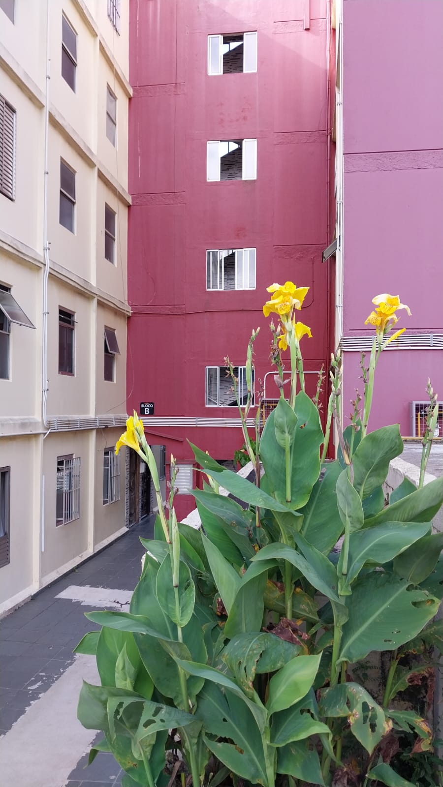❤ Lindo Apartamento pertinho do Monotrilho Sapopemba ❤