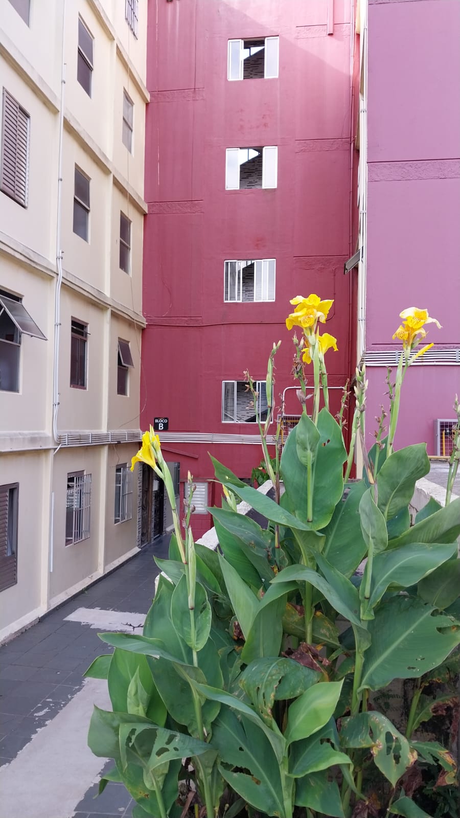 Apartamento - Venda, Conjunto Habitacional Teotonio Vilela, São Paulo, SP