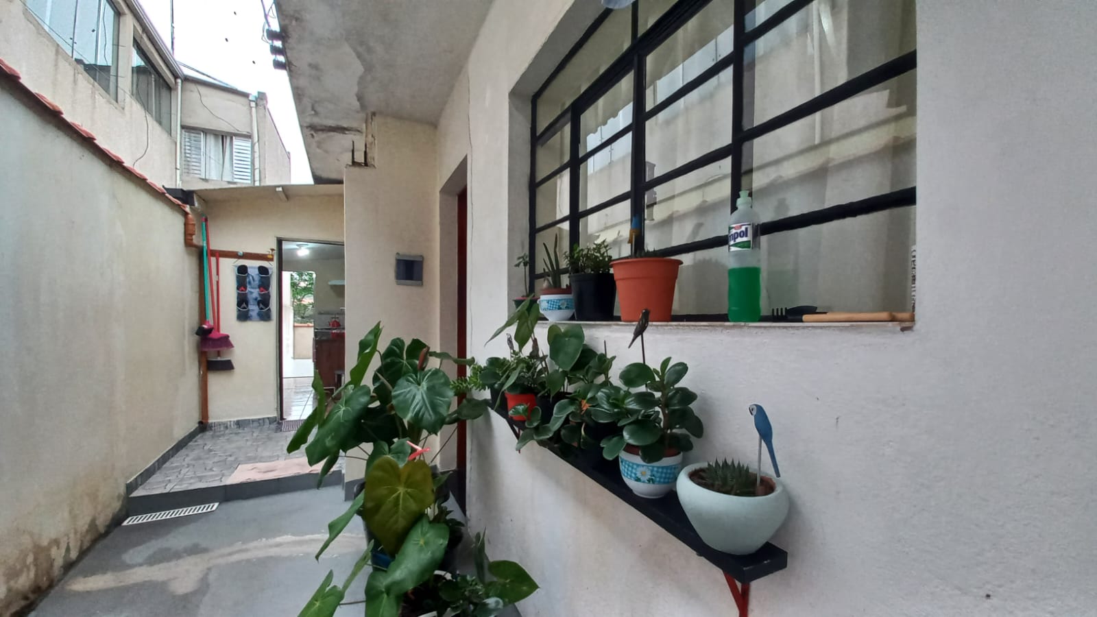 Casa - Venda, Vila Tibiriçá, Santo André, SP