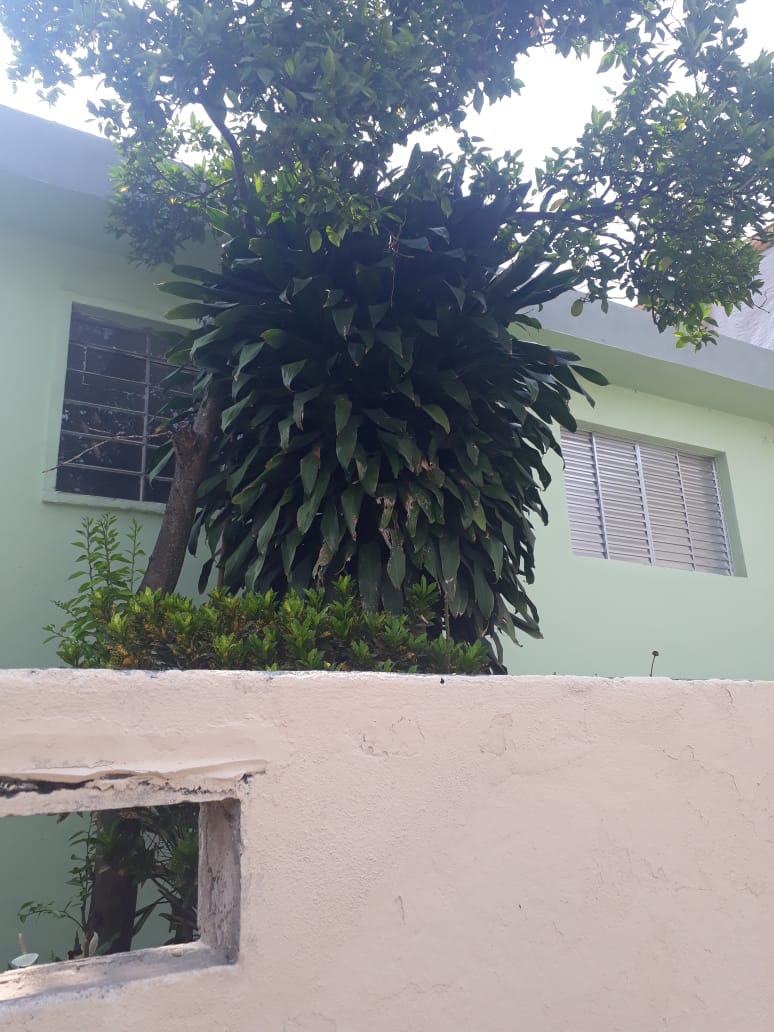 Casa - Locação, Jardim Elba, São Paulo, SP