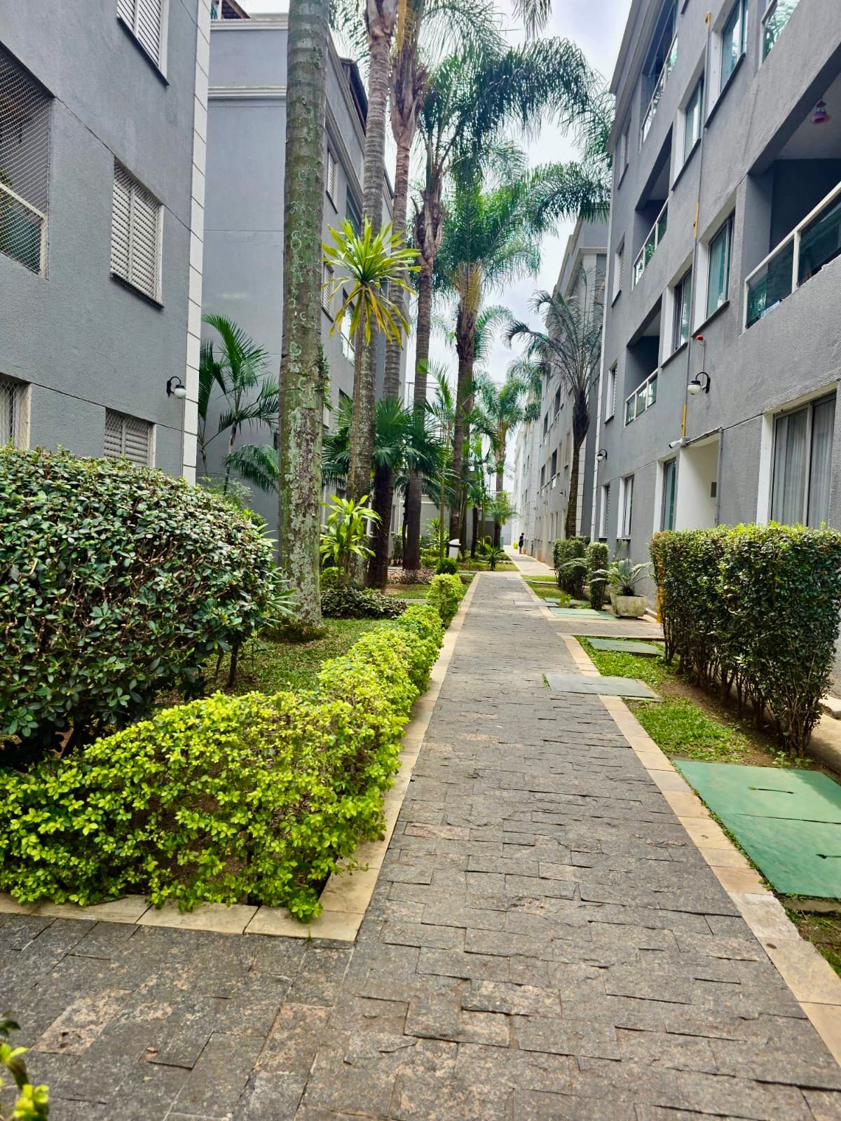 Apartamento - Venda, Santa Terezinha, Santo André, SP