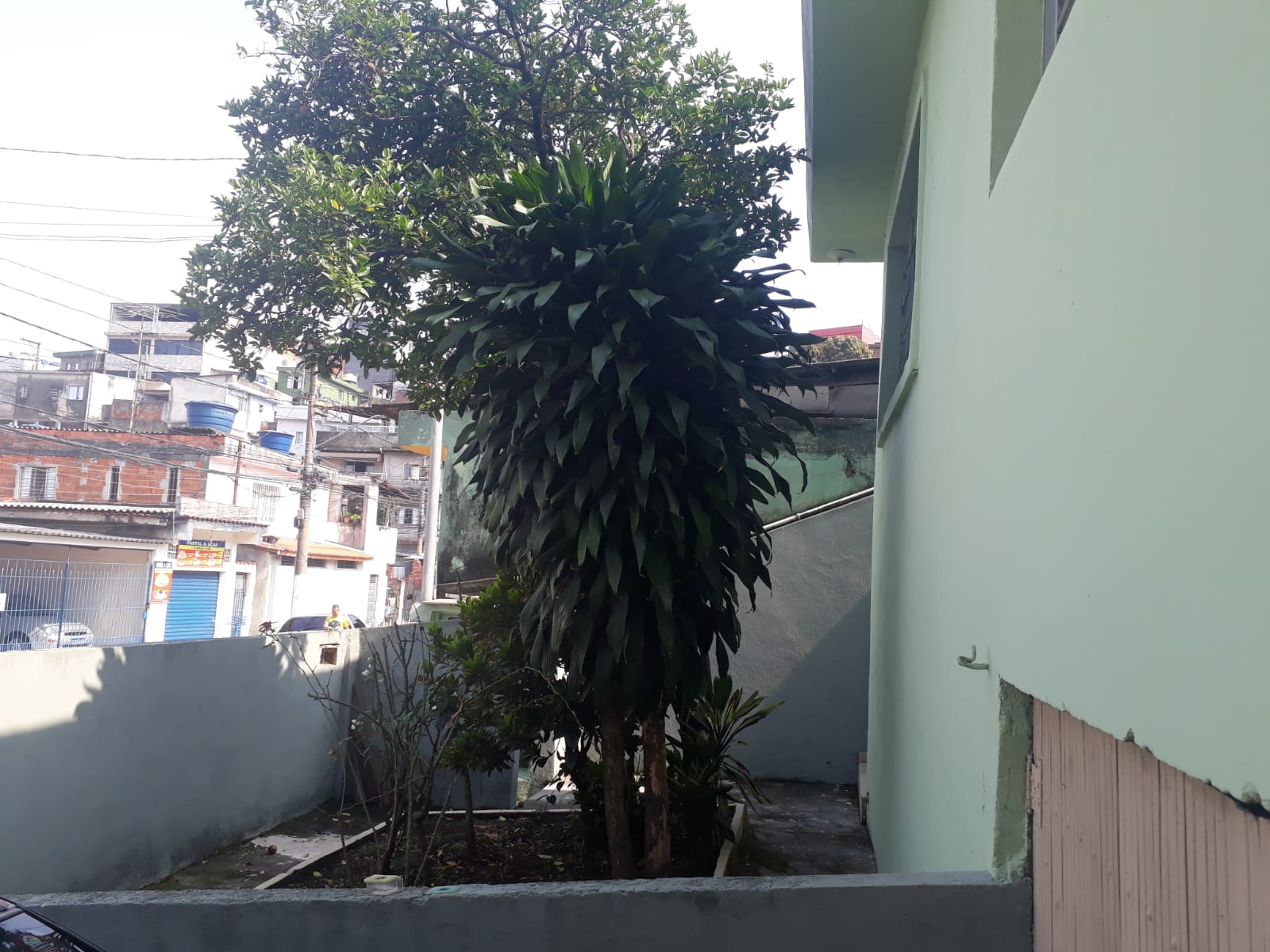 Casa Térrea em Lote Inteiro - Jardim Elba