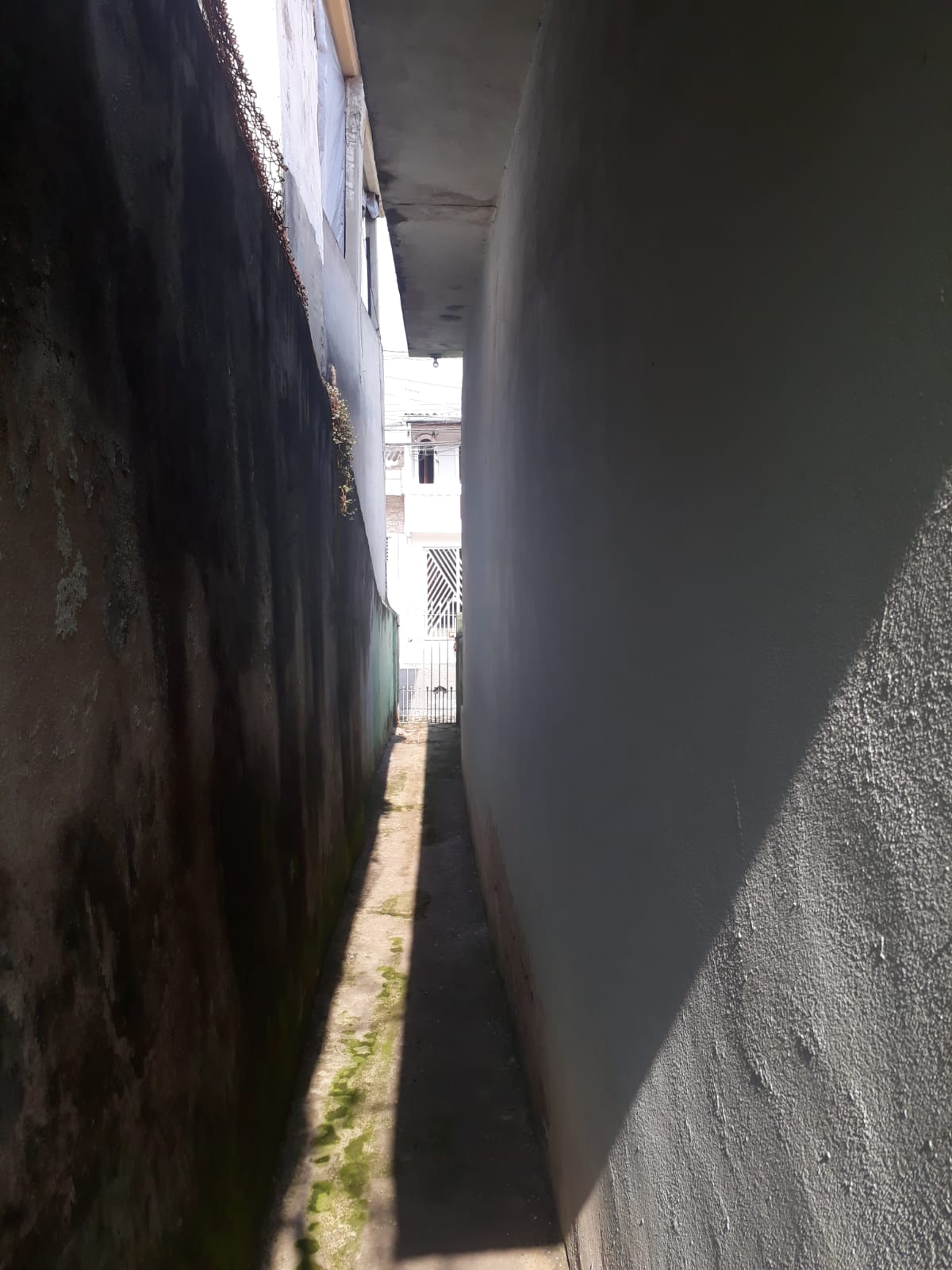Casa Térrea em Lote Inteiro - Jardim Elba