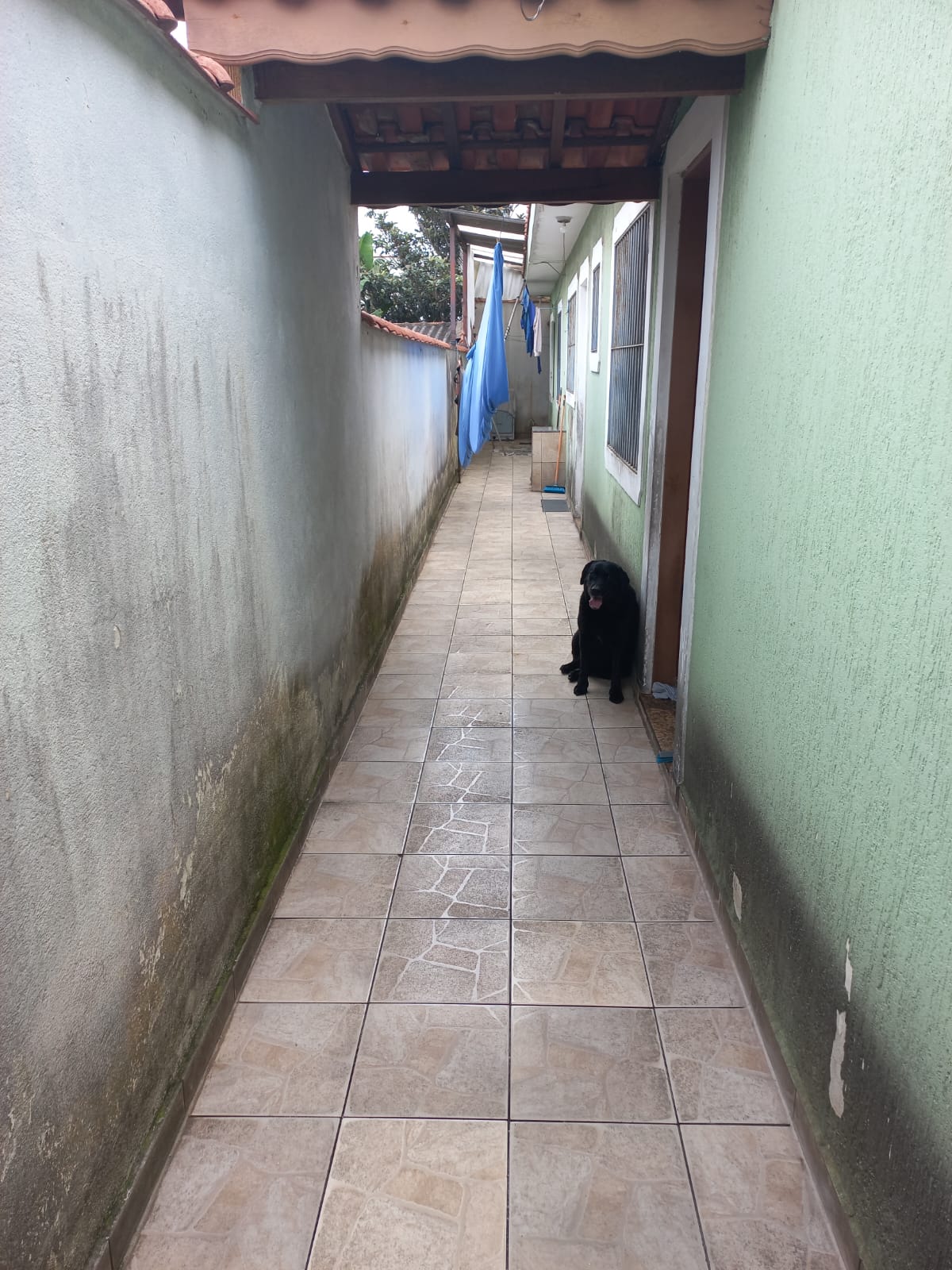 Casa Térrea - Próximo ao Monotrilho