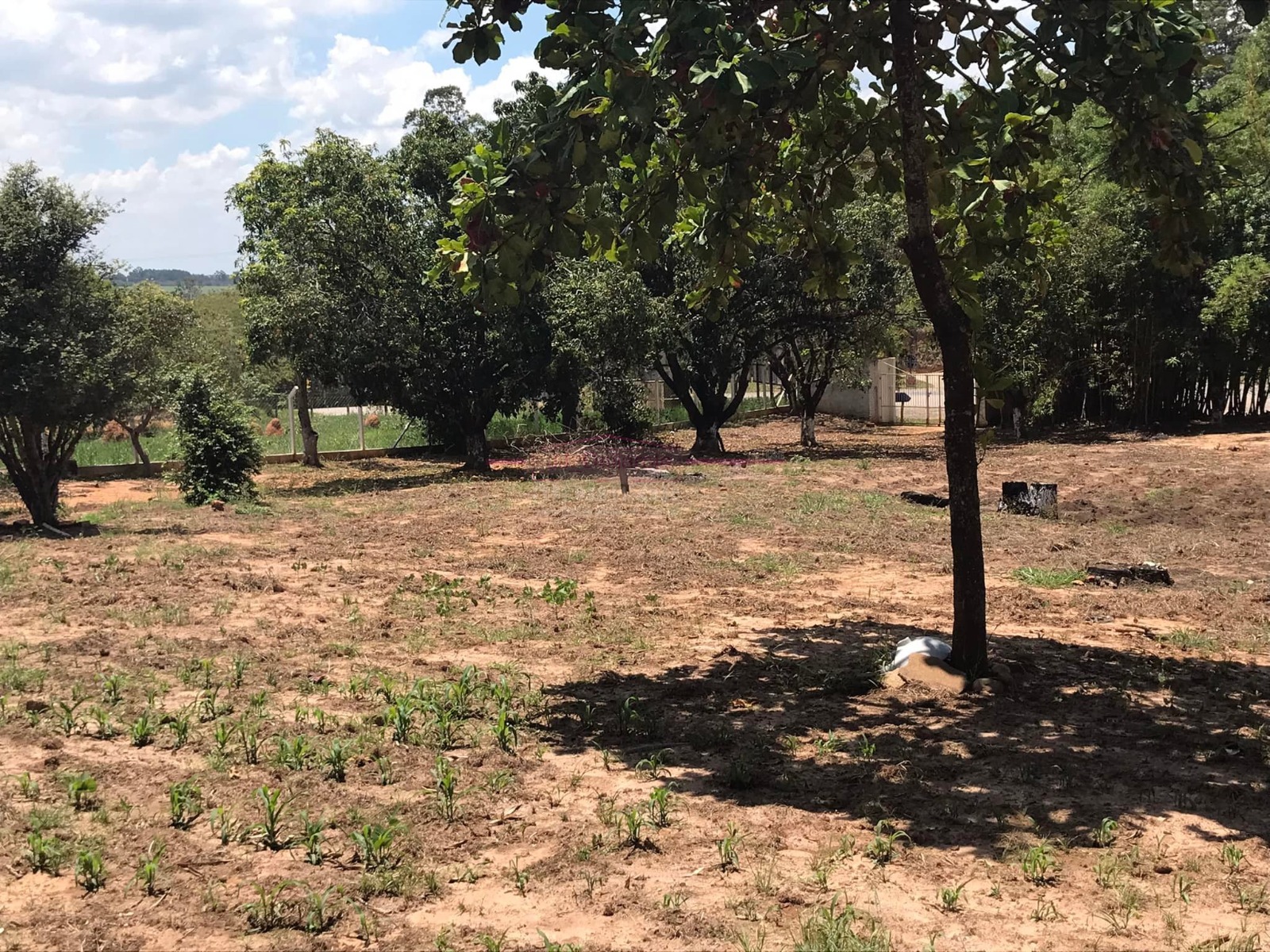 Chácara - Venda, Jardim Valparaíso, Boituva, SP