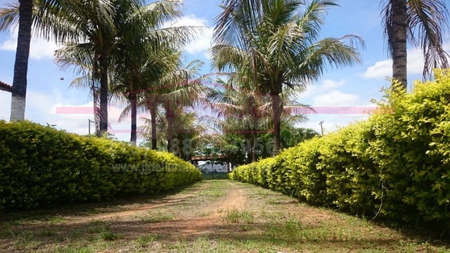 Fazenda - Venda, Campo de Boituva, Boituva, SP