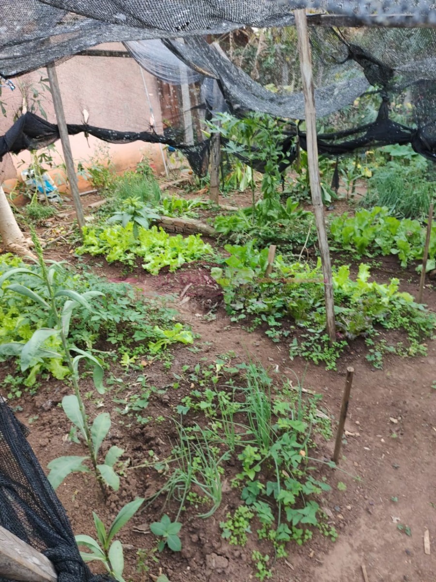 Chácara - Venda, Santo Antonio, Boituva, SP