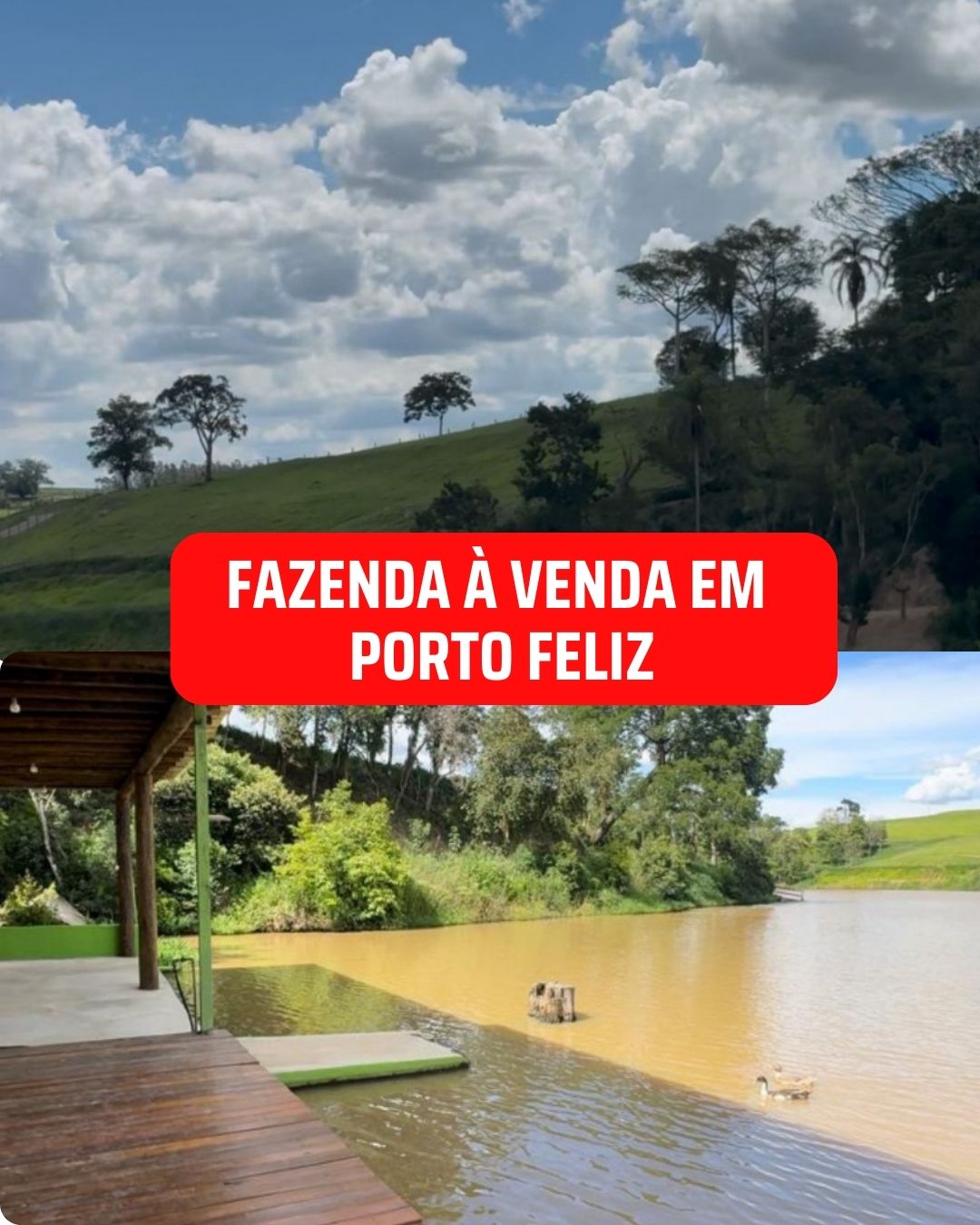 Fazenda - Venda, Área Rural de Porto Feliz, Porto Feliz, SP