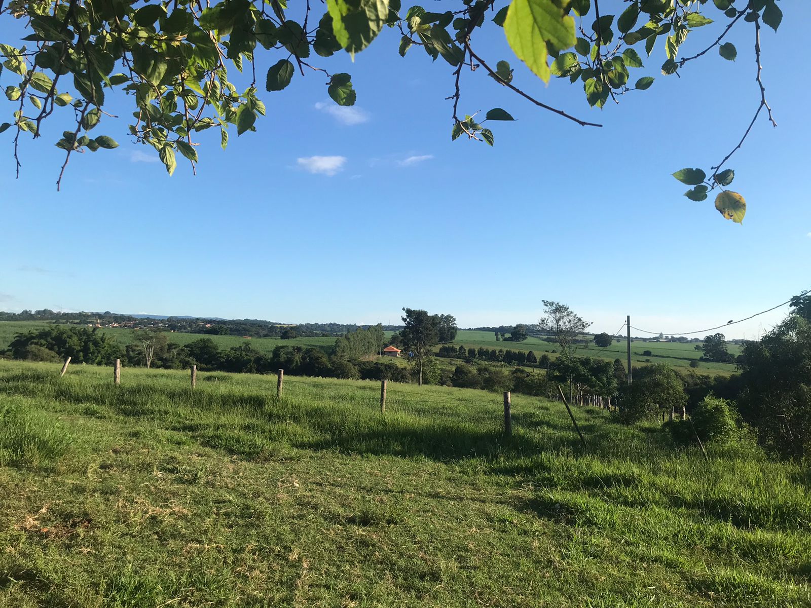 Chácara - Venda, Área Rural de Boituva ( Jerivá ), Boituva, SP