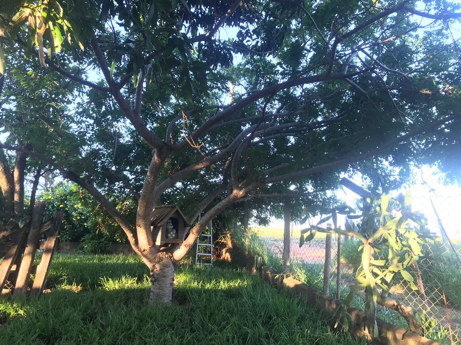 Chácara à Venda em Boituva - SP 