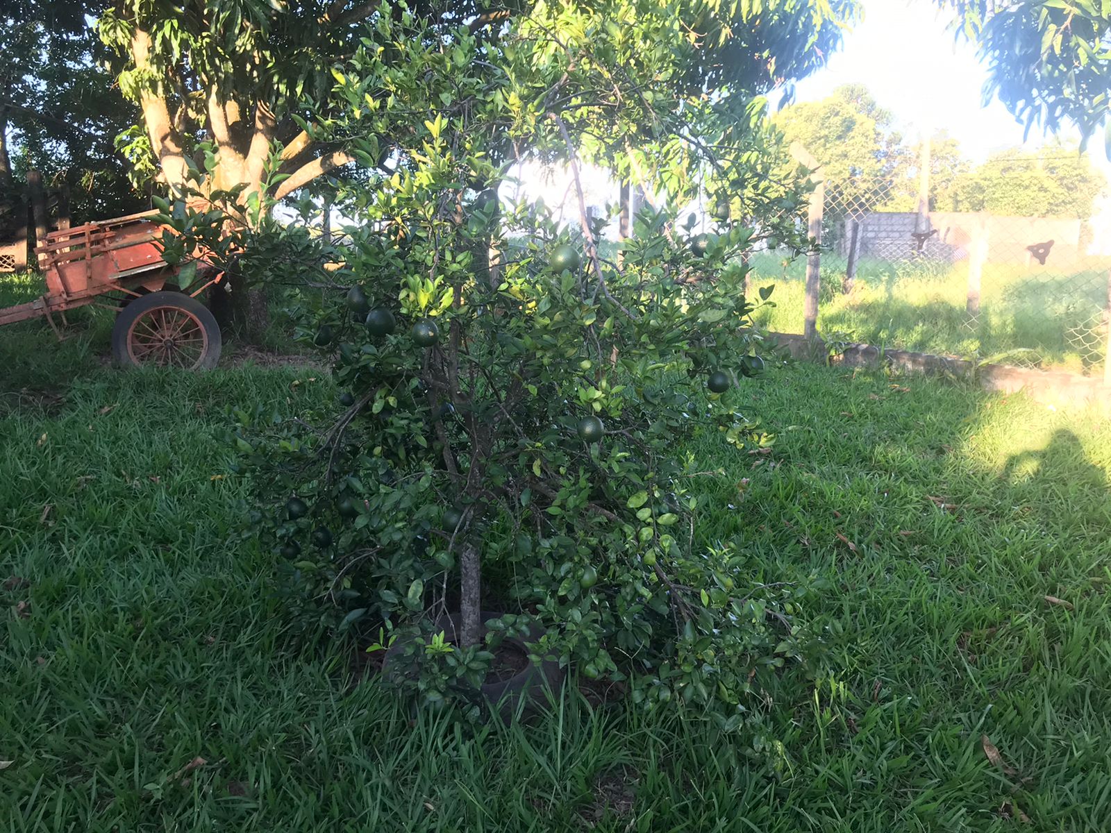Chácara à Venda em Boituva - SP 