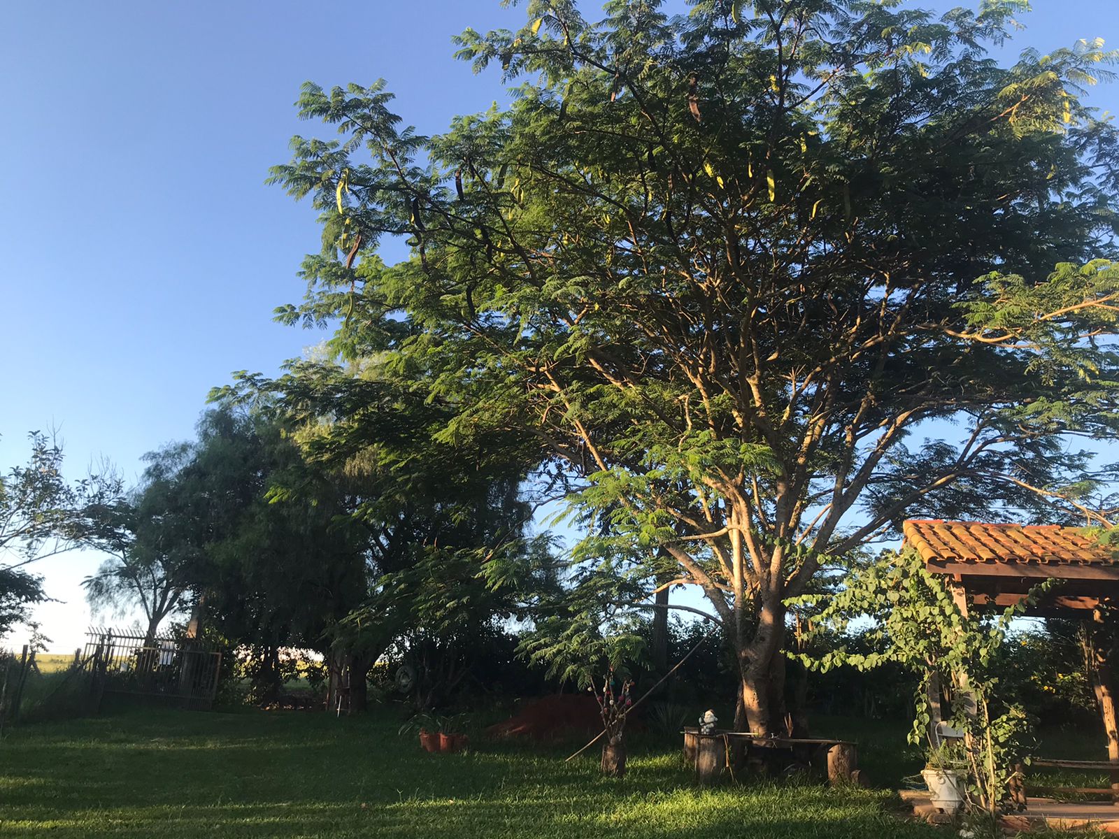 Chácara à Venda em Boituva - SP 