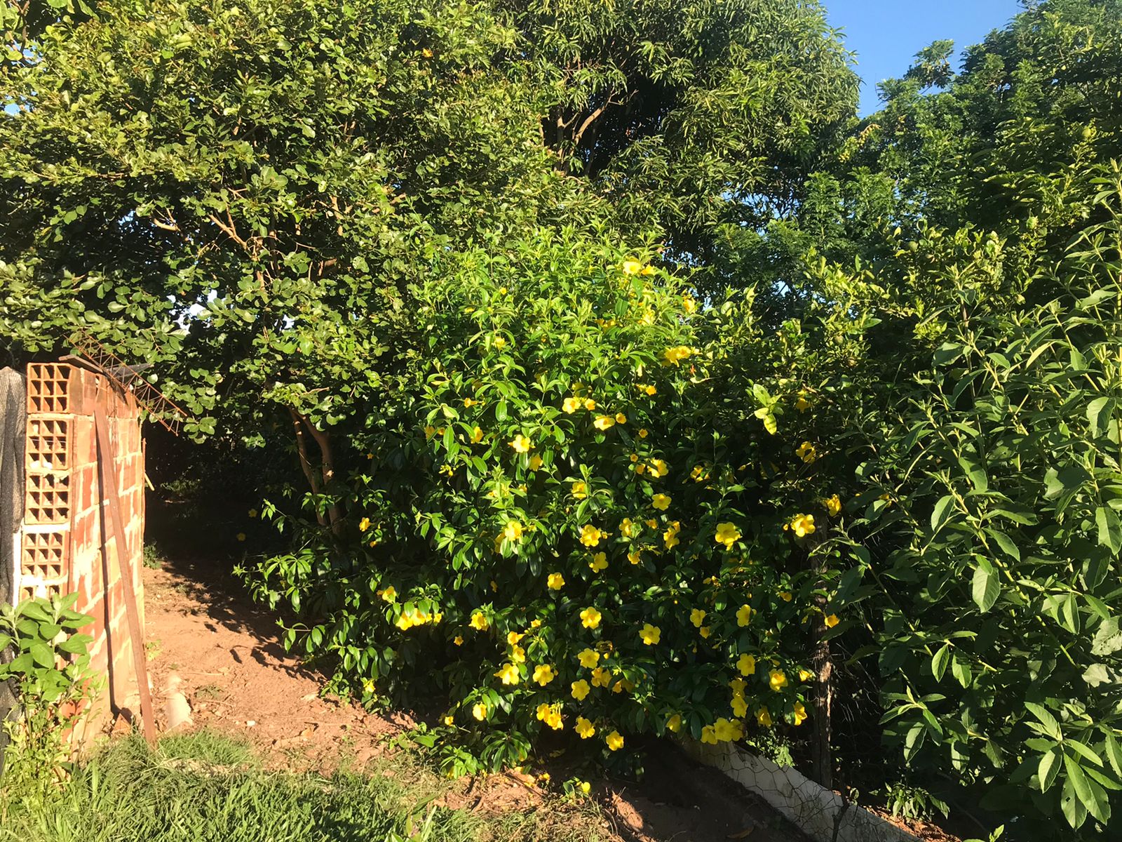 Chácara à Venda em Boituva - SP 