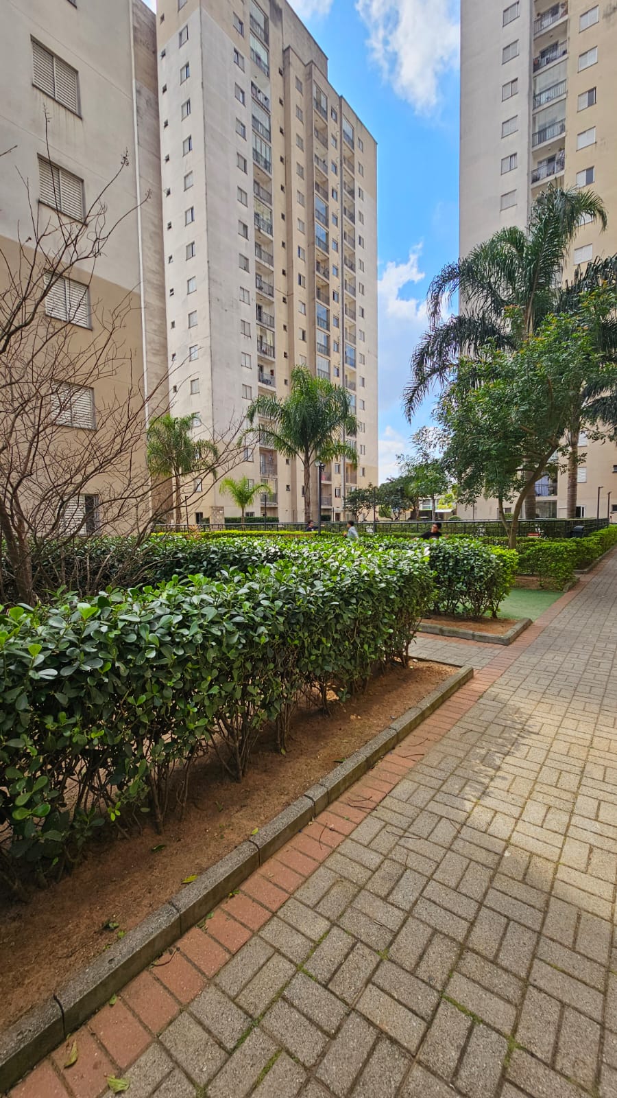 Andar Corporativo - Locação, Vila Liviero, São Paulo, SP