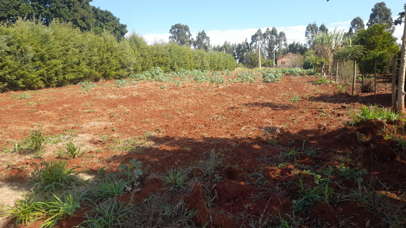 Chácara - Venda, PINHEIRINHO, SANTA CRUZ RIO PARDO, SP