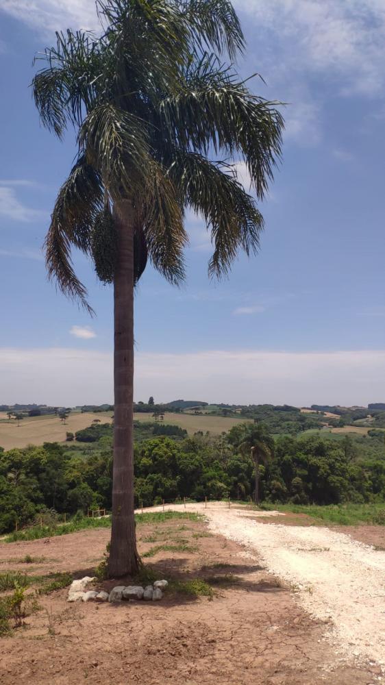 Chácara - Venda