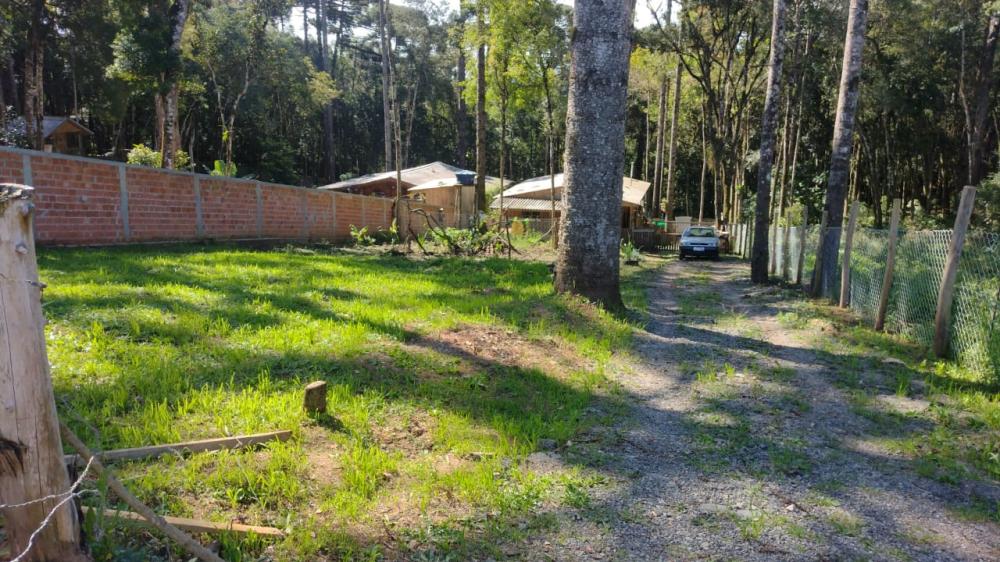 Chácara - Venda, Timbu, Campina Grande do Sul, PR