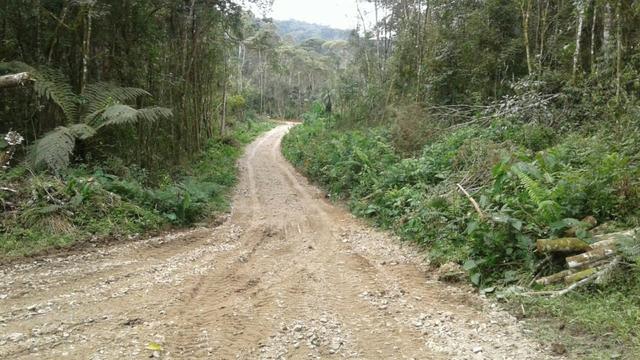 Chácara - Venda, Campina Grande do Sul, PR