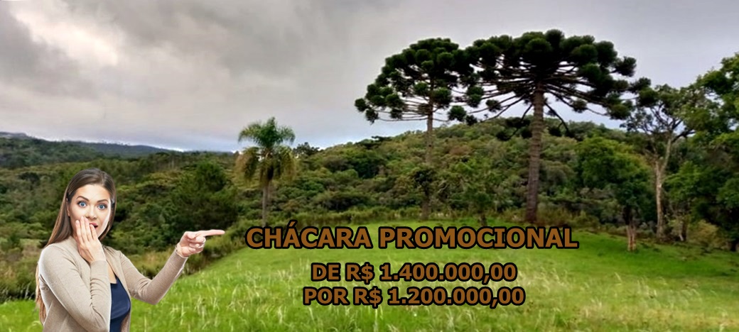 Chácara - Venda, Campo Novo, Bocaiúva do Sul, PR