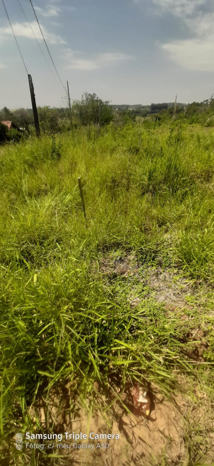 Terreno - Venda, Vila Guay, Ibaiti, PR