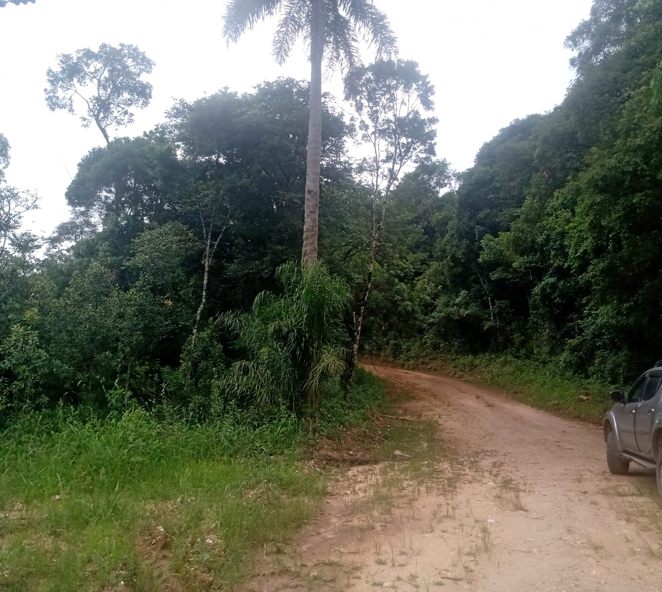 Chácara - Venda, Angelica, Bocaiúva do Sul, PR