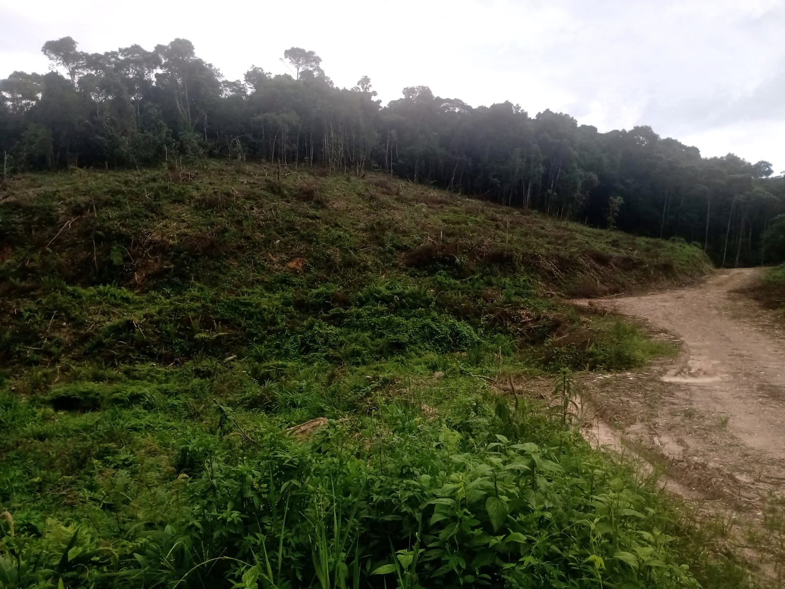Terreno - Venda, Bocaiúva do Sul, PR