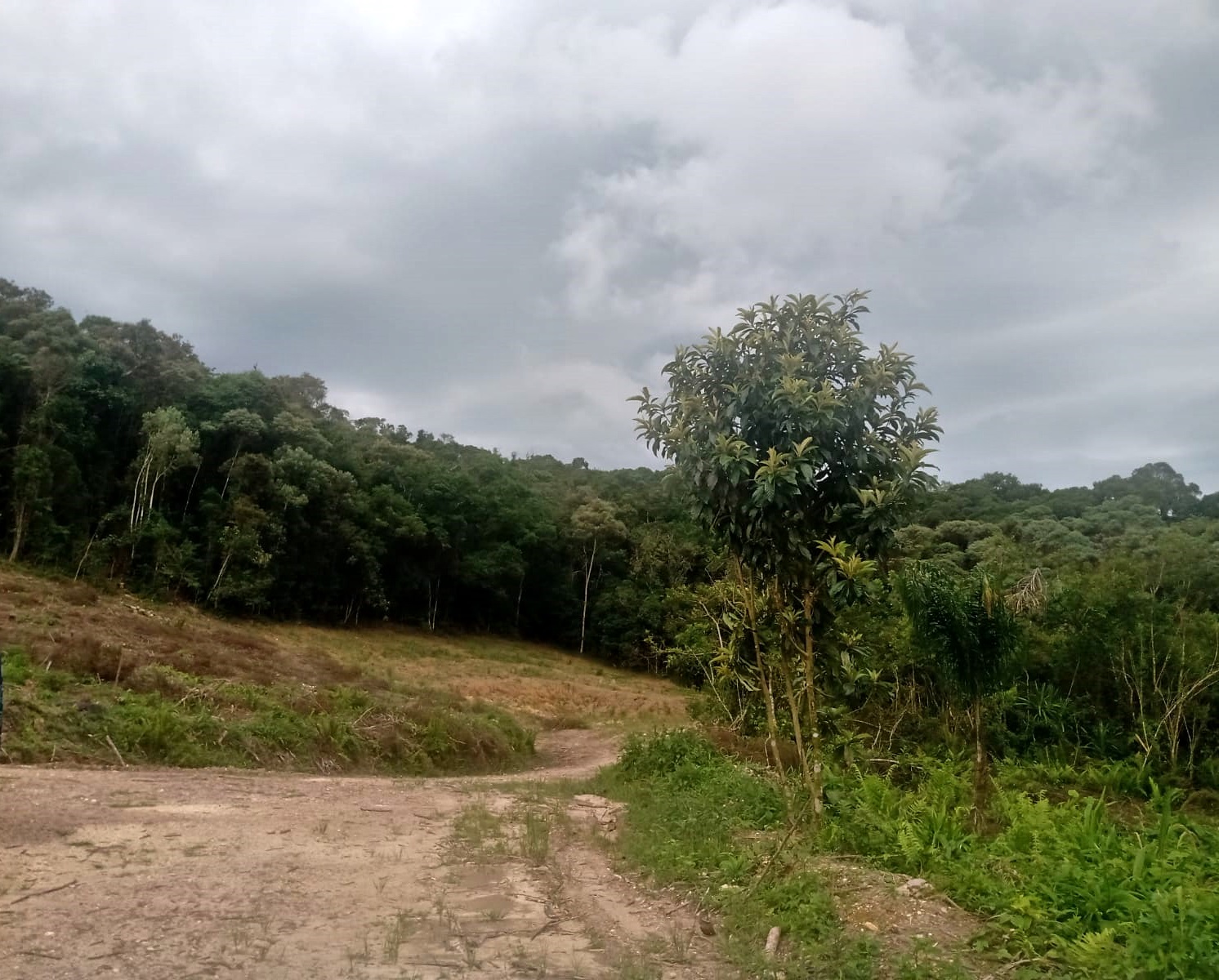 Terreno - Venda, Bocaiúva do Sul, PR