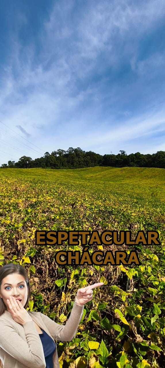 Chácara - Venda, Gabiroba, Campo Largo, PR