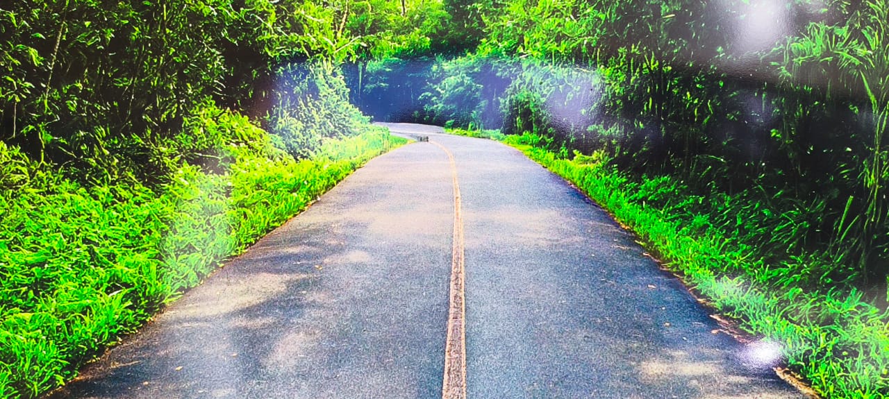 Chácara - Venda, Gabiroba, Campo Largo, PR