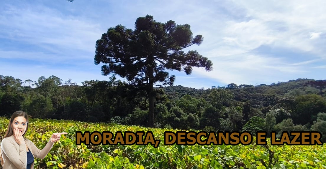 Chácara - Venda, Gabiroba, Campo Largo, PR