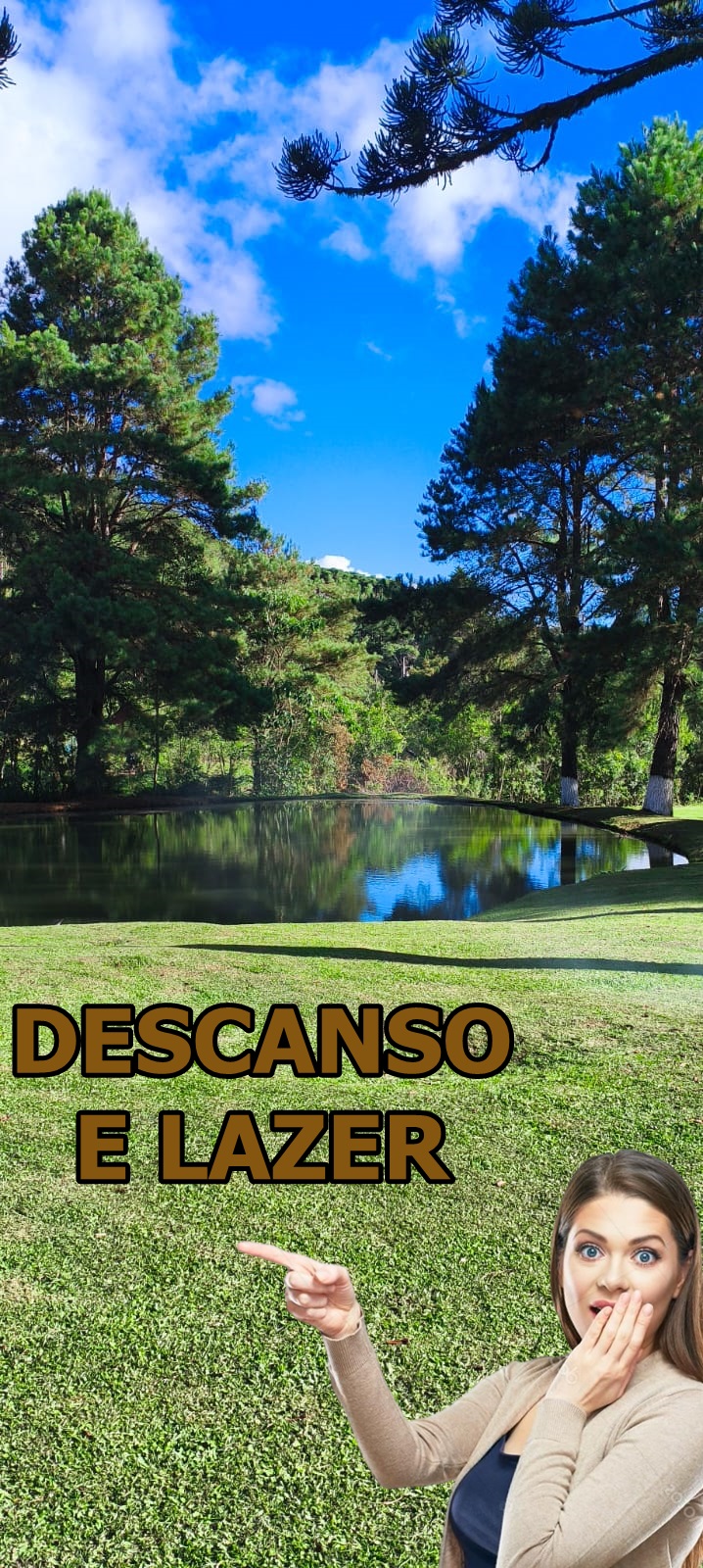 Chácara - Venda, Campo Novo, Bocaiúva do Sul, PR