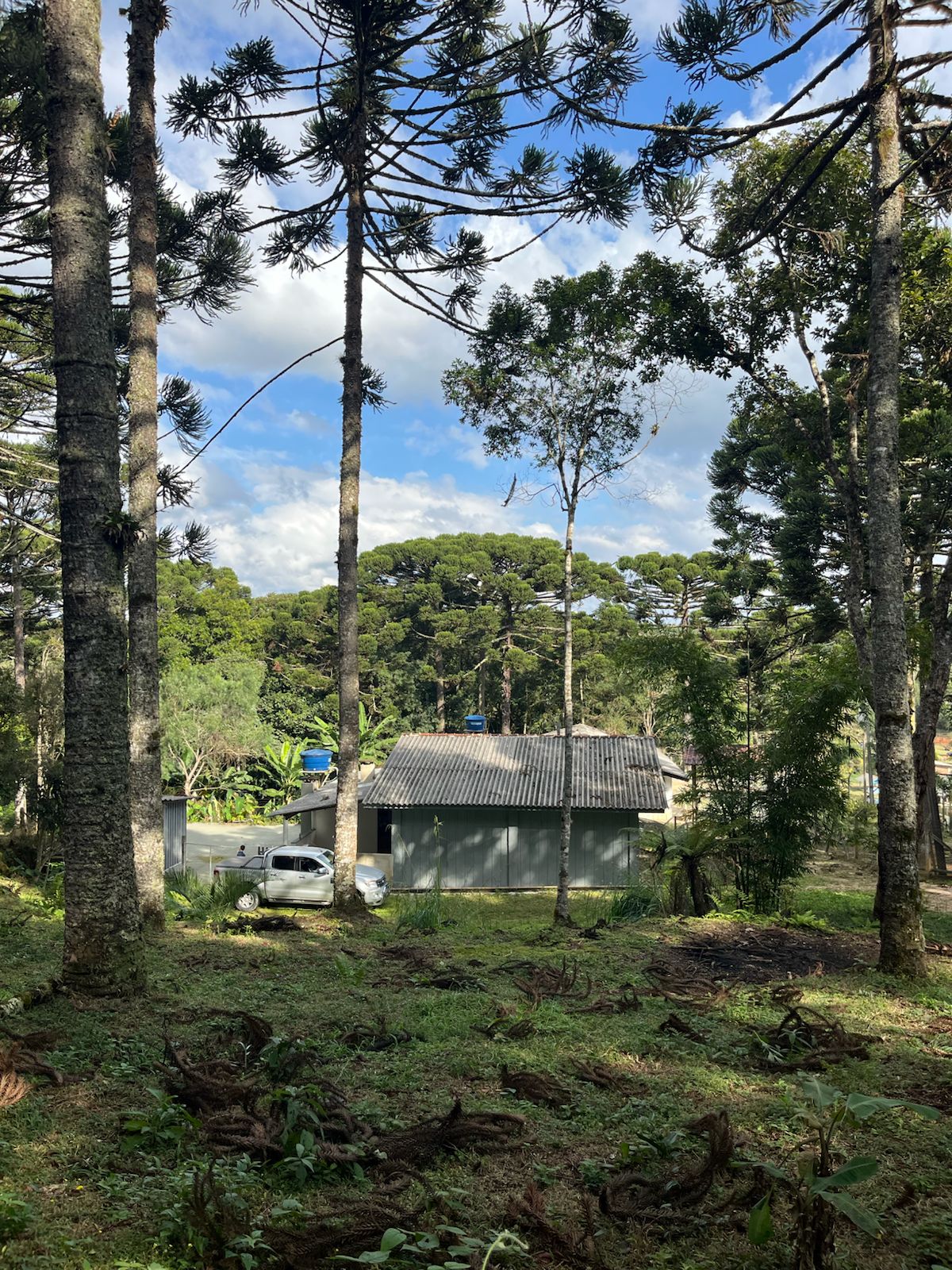 Chácara - Venda, Estiva, Bocaiúva do Sul, PR