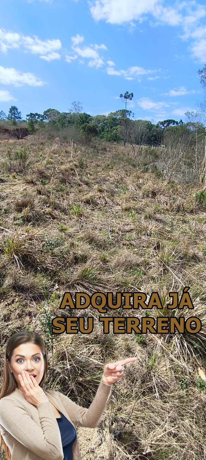 Terreno - Venda, Palmeirinha, Bocaiúva do Sul, PR