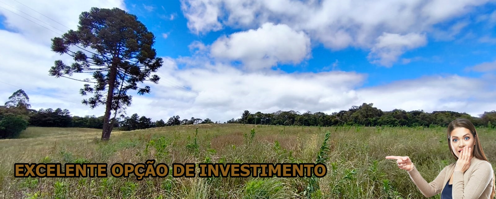 Sítio - Venda, Cacaiguera, Campina Grande do Sul, PR