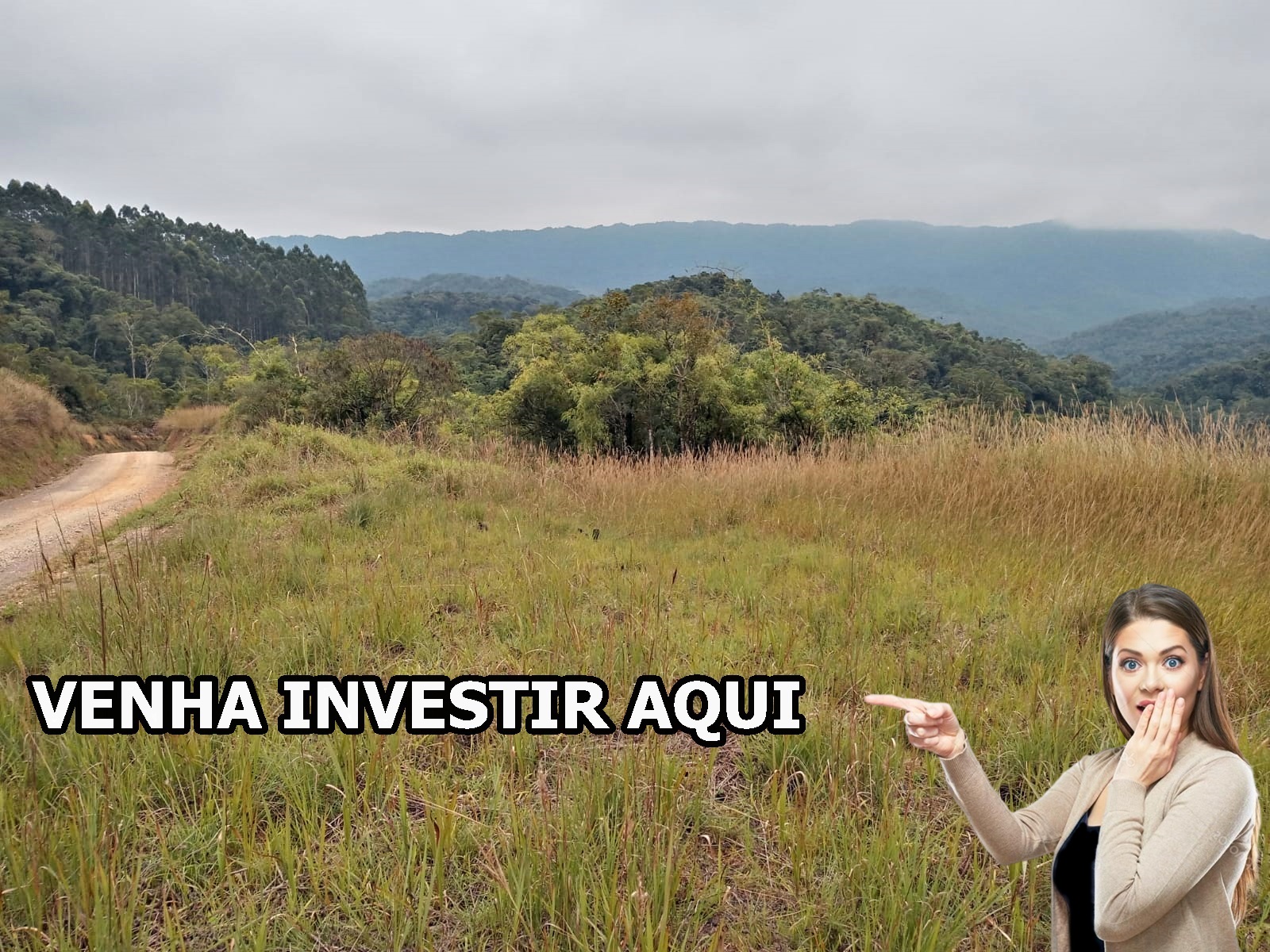 Fazenda - Venda, Jd.Graciosa, Campina Grande do Sul, PR