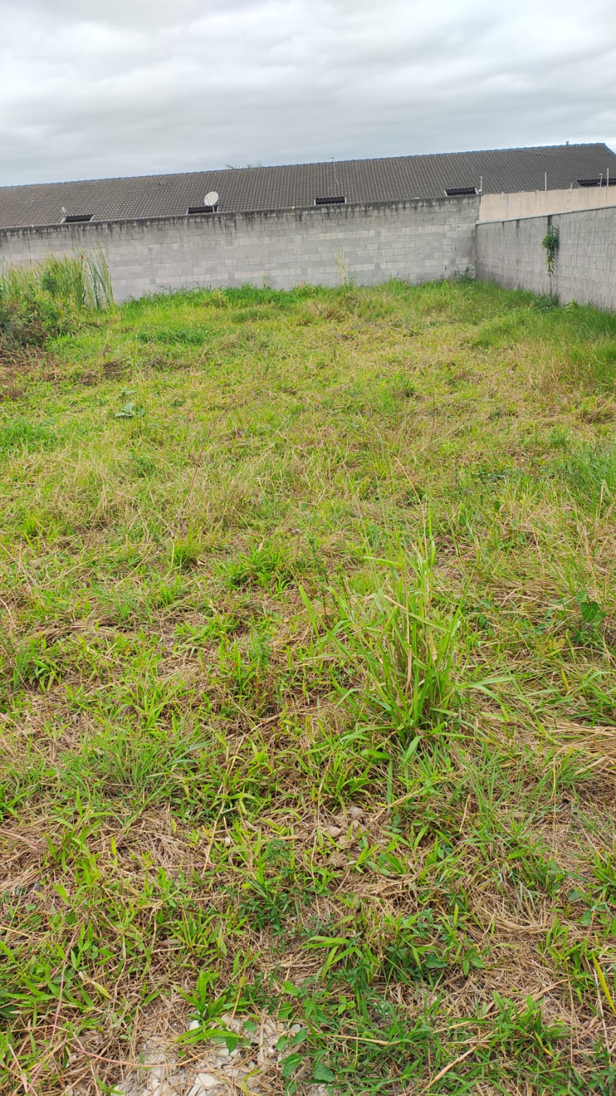 Lote - Venda, Balneário dos Golfinhos, Caraguatatuba, SP