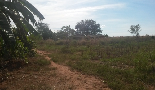 Chácara - Venda, Zona Rural, Lucas Do Rio Verde, MT