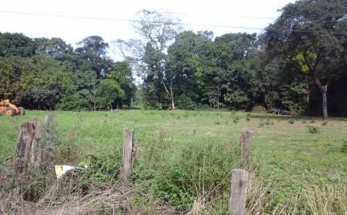 Chácara - Venda, Zona Rural, Lucas Do Rio Verde, MT