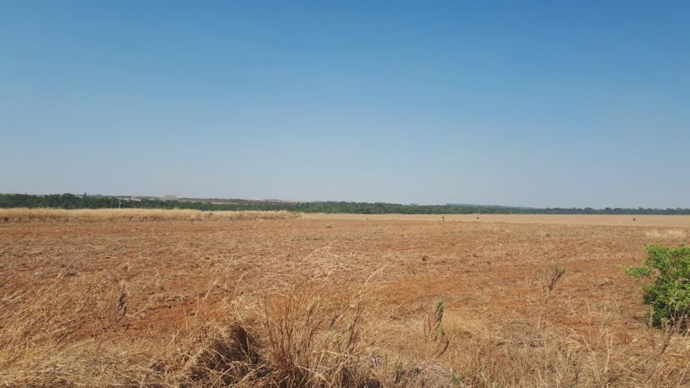 Chácara - Venda, MT 449 KM 10, Lucas do Rio Verde, MT