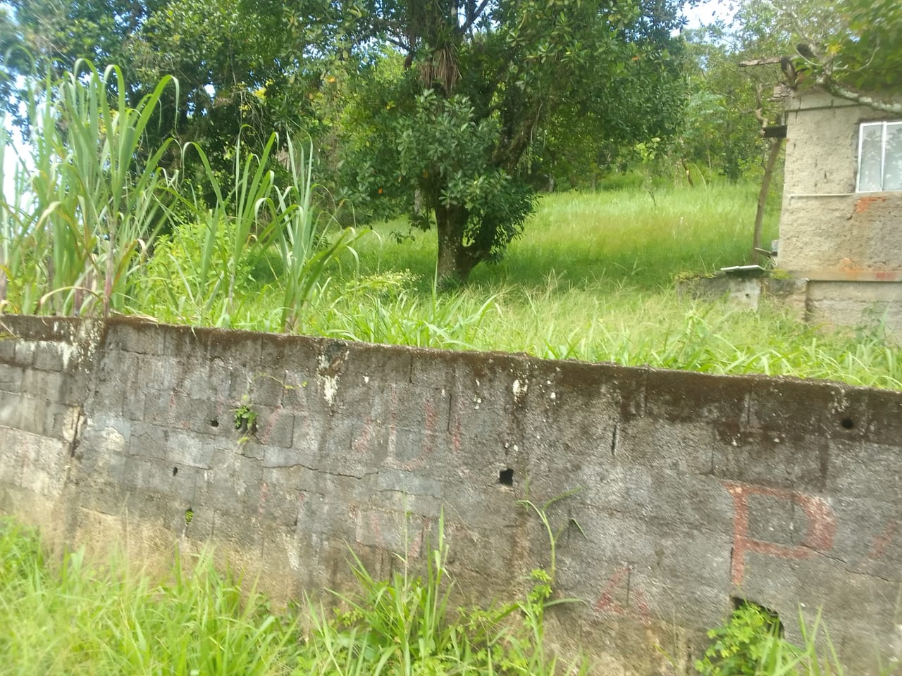 VENDE-SE CHÁCARA EM PERUÍBE