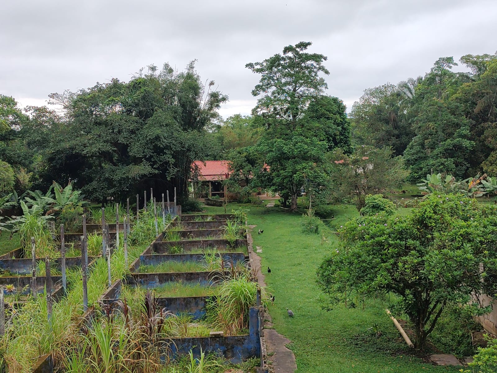 Chácara com 3 dormitórios à venda, 15000 m² por R$ 790.000,00 - Chácaras Iporanga - Peruíbe/SP