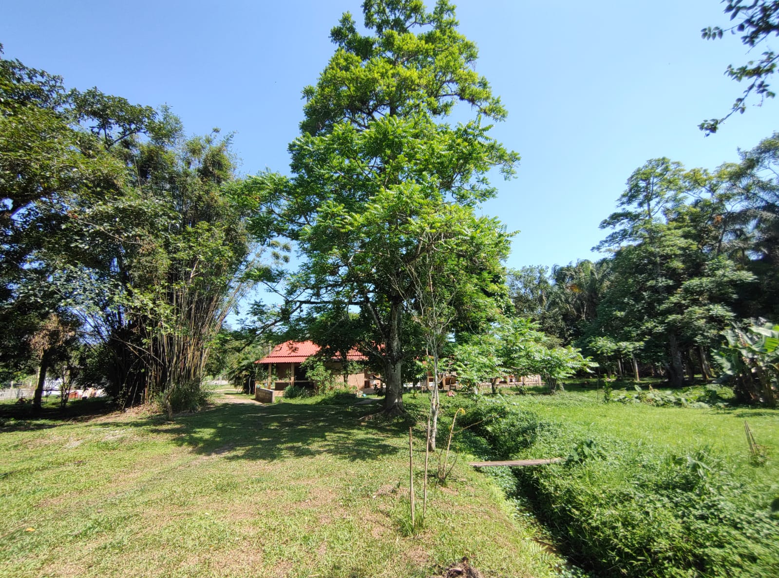 Chácara com 3 dormitórios à venda, 15000 m² por R$ 790.000,00 - Chácaras Iporanga - Peruíbe/SP